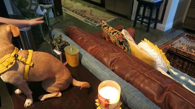 APARTMENT TOUR | MY BOHEMIAN LOFT | MEGHAN HUGHES смотреть онлайн