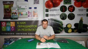 Лингогумат калия: эффективное средство для налива плодов томата и оздоровления почвы