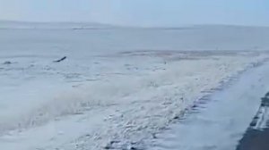 Охота с беркутом