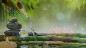 3 ЧАСА расслабляющей музыки | Йога и медитация | Фон для массажа, спа, сна, учебы Spa Music