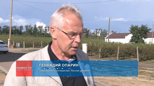 «Винная деревня» – амбициозный проект, объединивший несколько производителей благородного напитка. смотреть онлайн