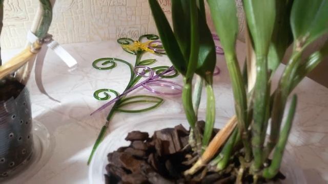 КАТТЛЕИ - ОСТОРОЖНО!!! смотреть онлайн