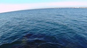 АНАПА. Верхняя набережная.Пляж санатория " Русь" и др..