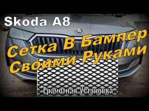 Skoda A8: Сетка В Бампер Своими Руками. Грамотная Установка (2023)