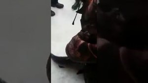 Толстолобик ловится и зимой