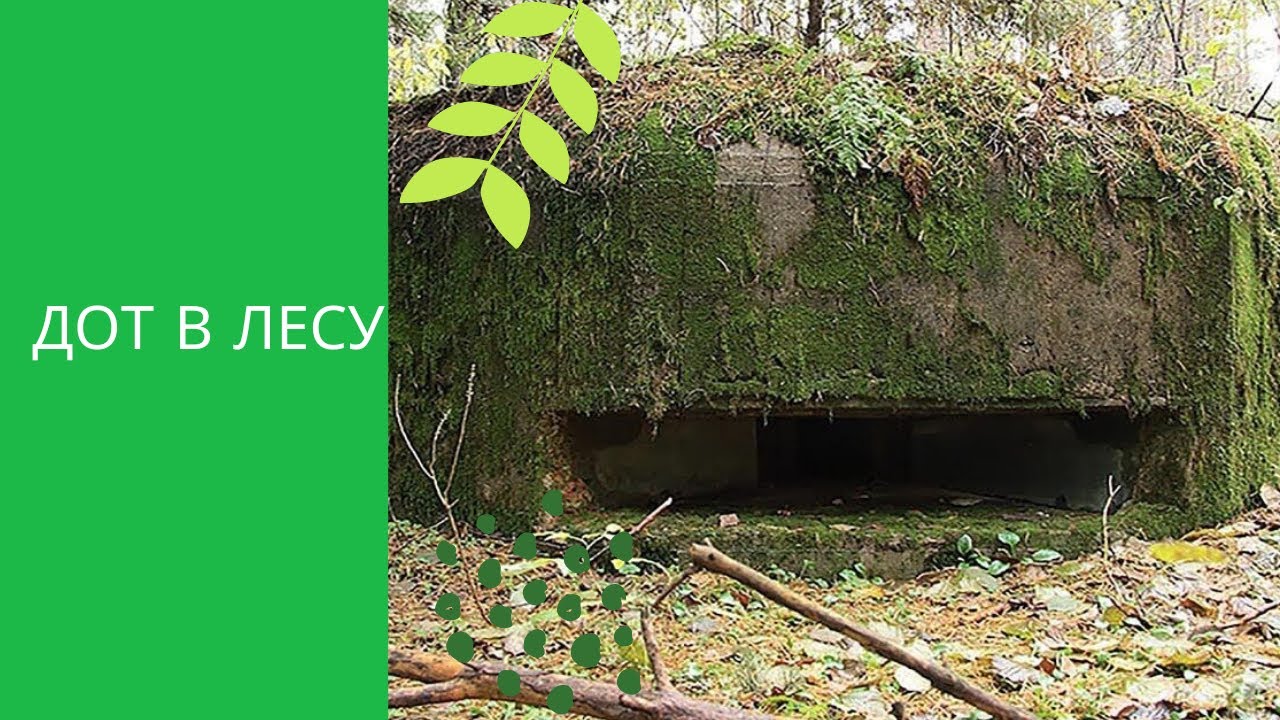 ДОТ Второй Мировой Войны в нашем лесу..mp4 смотреть онлайн