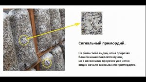 Перегрев грибных блоков вешенки на инкубации. Строма. Температура при зарастании  грибных блоков.