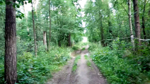 09.07.2023 09:54 [Ищу путь до озера Марьино]