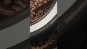 Shinko SR777 w . XVS-1300