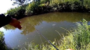 Рыбалка в Волго Ахтубинской Пойме. Какие Шансы Успешно Порыбачить?