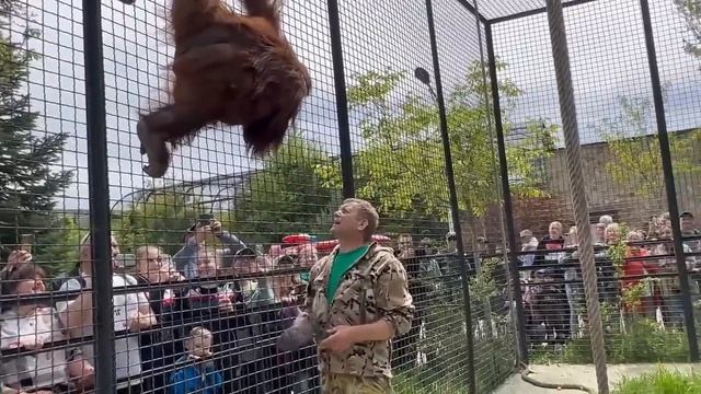 Пол-парка СМЕЯЛОСЬ от того, как Дана лечила Олега Зубкова))) смотреть онлайн