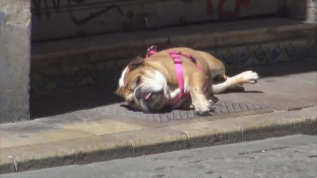 Проба Испания Италия 05.2017.mp4 смотреть онлайн