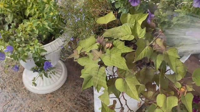 Зона отдыха в саду, обустройство,преображение . Наша беседка смотреть онлайн