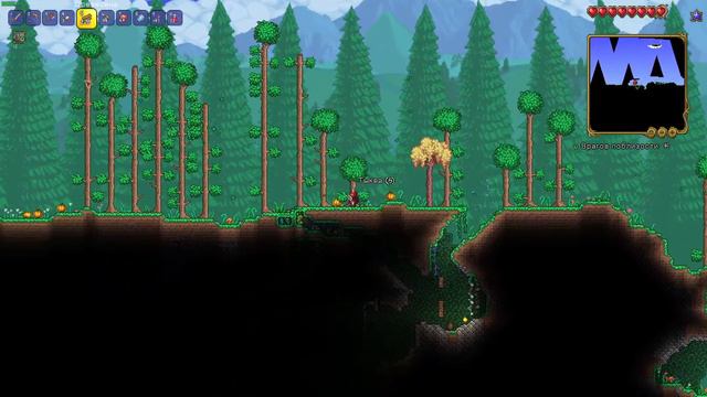 Terraria(маг или призыватель)