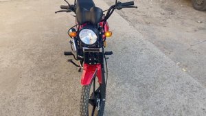 Новая альфа турист 110