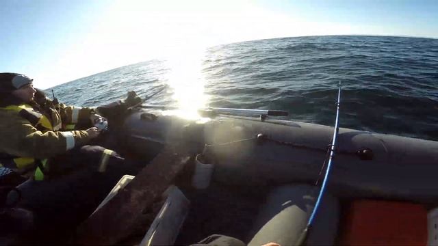 ТРЕСКА. РЫБАЛКА осенью в БАРЕНЦЕВОМ МОРЕ . "Fishing in September on the Barents sea." смотреть онлайн