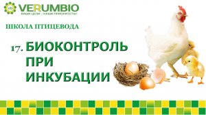 Биоконтроль при инкубации