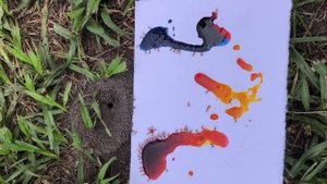 Как покрасить муравья? Испытатели природы #испытателиприроды @isprirody #летоиспытателей
