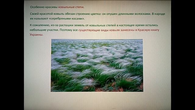 Природоведение 4 класс. Степь (продолжение). смотреть онлайн