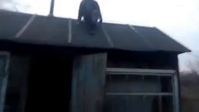 Паркур для начинающих . смотреть онлайн