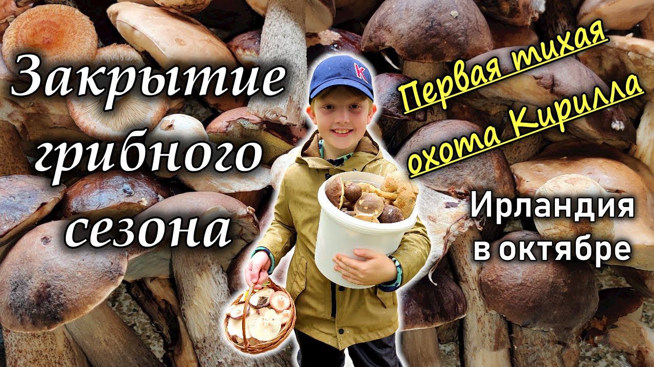 Ирландия / Съедобные грибы в Ирландии/ Руководство по сбору/ Последний урожай