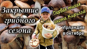 Ирландия / Съедобные грибы в Ирландии/ Руководство по сбору/ Последний урожай