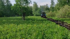 посев овса и кукурузы🌾2021