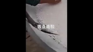 дисковый гранулятор для производства наполнителей для кошачьего туалетранула, пресс гранула
