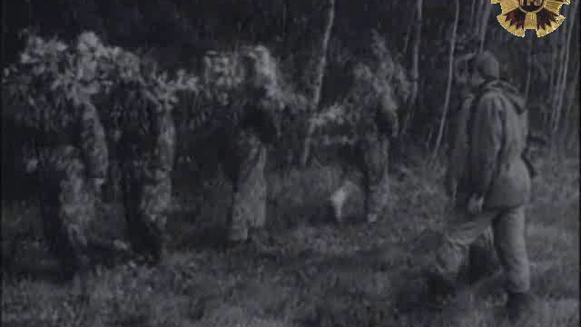 Spetsnaz GRU - Vympel special forces (СПЕЦНАЗ) смотреть онлайн