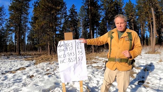 22lr vs 25acp in Pocket Pistols смотреть онлайн