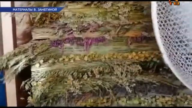 Выставка Веры Занегиной "История одного лета" в Доме Озерова. Коломна. 2020 г.
