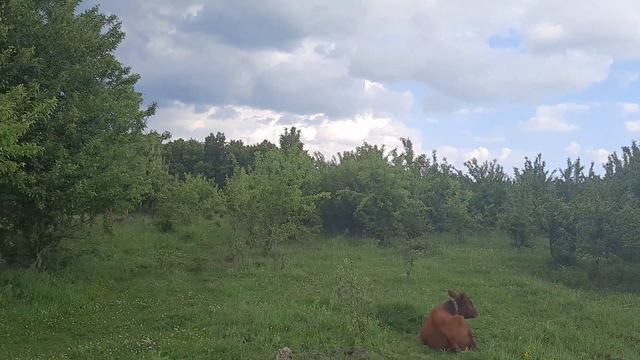 Видовой участок. Азовская. Выход на 2 улицы.