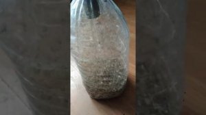 Простейшая веялка для зерна и зерноотходов