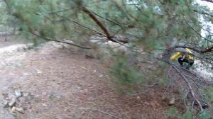 Собираем грибы. Сбор грибов в декабре. Часть 1