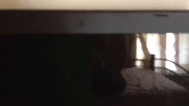 ASUS A55A-AH31 15.6-Inch LED Laptop: Review смотреть онлайн