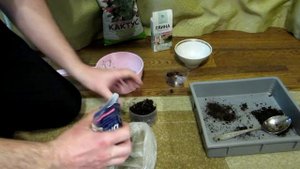 Как из детки нимфеи вырастить взрослое растение?