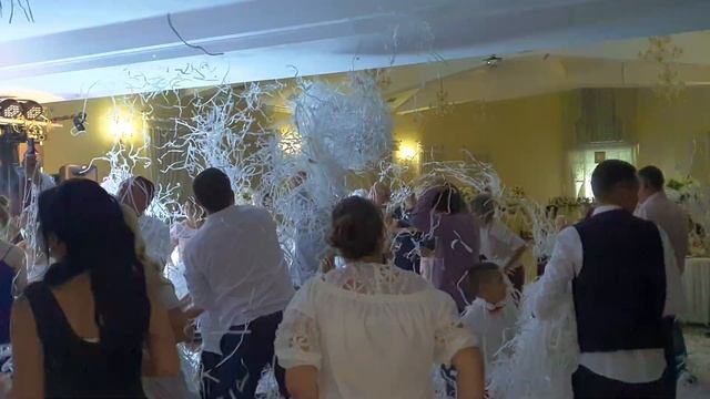 Паперове шоу на Весіллі / Бумажное шоу на Свадьбе