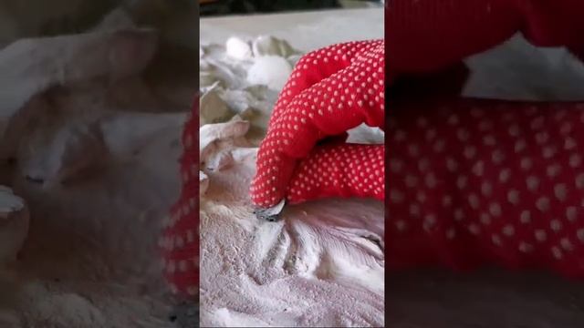Картина из обычной шпаклевки