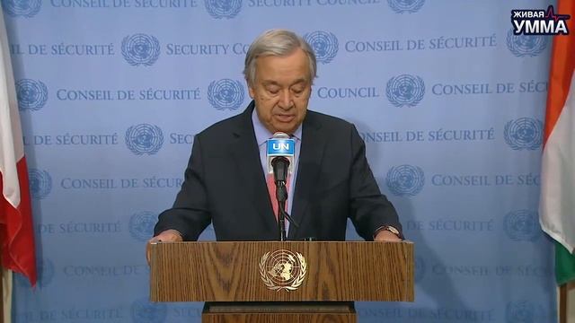 Мир горит по причине климатических изменений смотреть онлайн