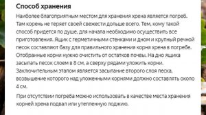 Как правильно хранить корни хрена