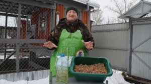 ОСТОРОЖНО! ПОДСОЛНЕЧНОЕ МАСЛО ДЛЯ КУР.