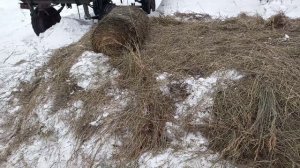 Мотоблок Скаут. Снял фрезу, установил отвал.