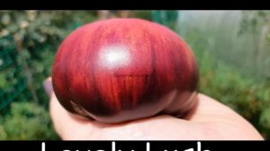 Томаты с антоцианом .сезон 2021г.