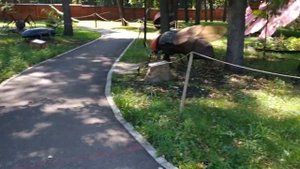 Парк гигантских жуков Уфа/Парк имени Мажита Гафури/город Уфа/Stezy_life
