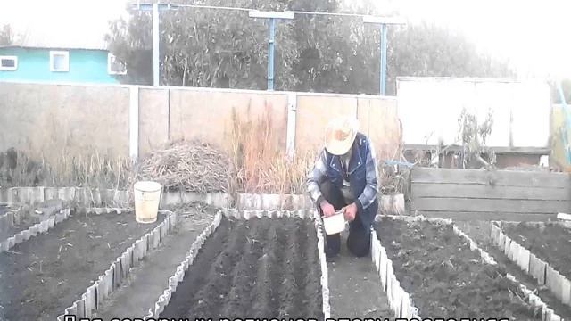 Лук Сеттон смотреть онлайн