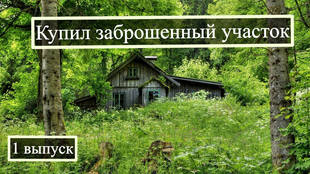 Купил заброшенный участок почти даром