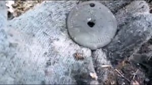 Новые находки в Приморском крае. Чжурчжэньские  украшения. 在中国古代滨海边疆区的新发现。 Jurchen珠宝.