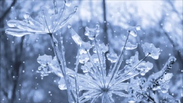 САМАЯ ЛЮБИМАЯ ПЕСНЯ РОДИТЕЛЬСКИХ ЗАСТОЛИЙ смотреть онлайн