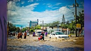 §37 "Учимся с "Полярной звездой"(10), География 8 класс, Полярная звезда, Алексеев
