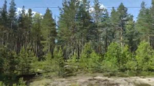 Карелия из окна вагона.Надвоицы,Сегежа.Медвежегорск.